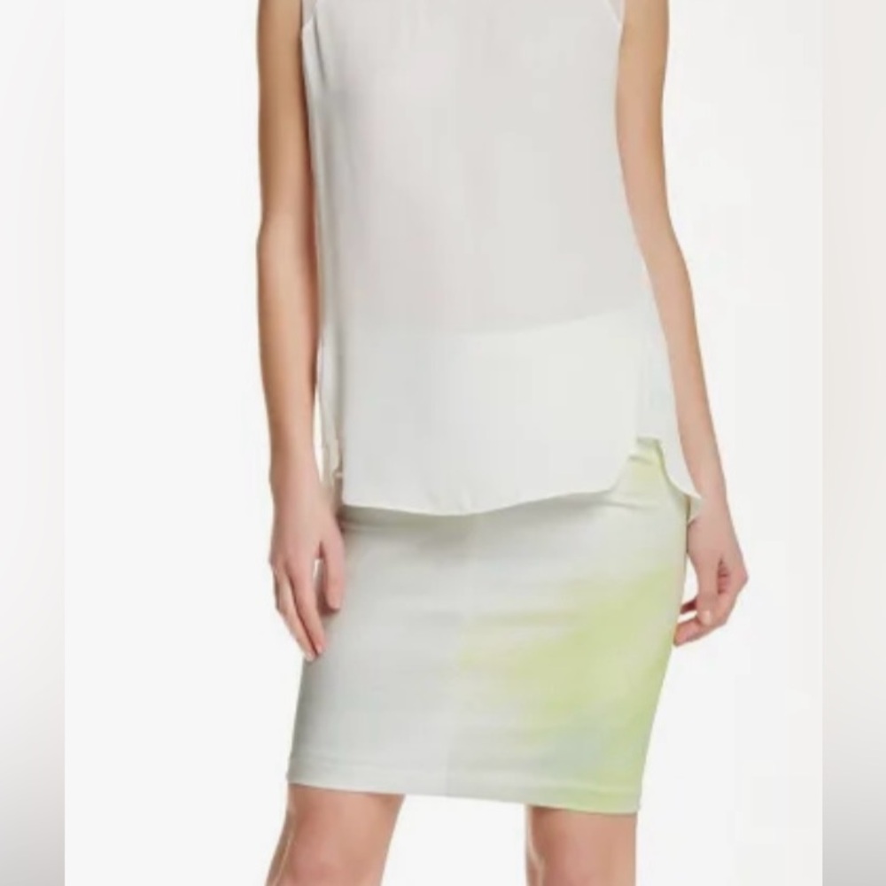Tahari Pencil Skirt